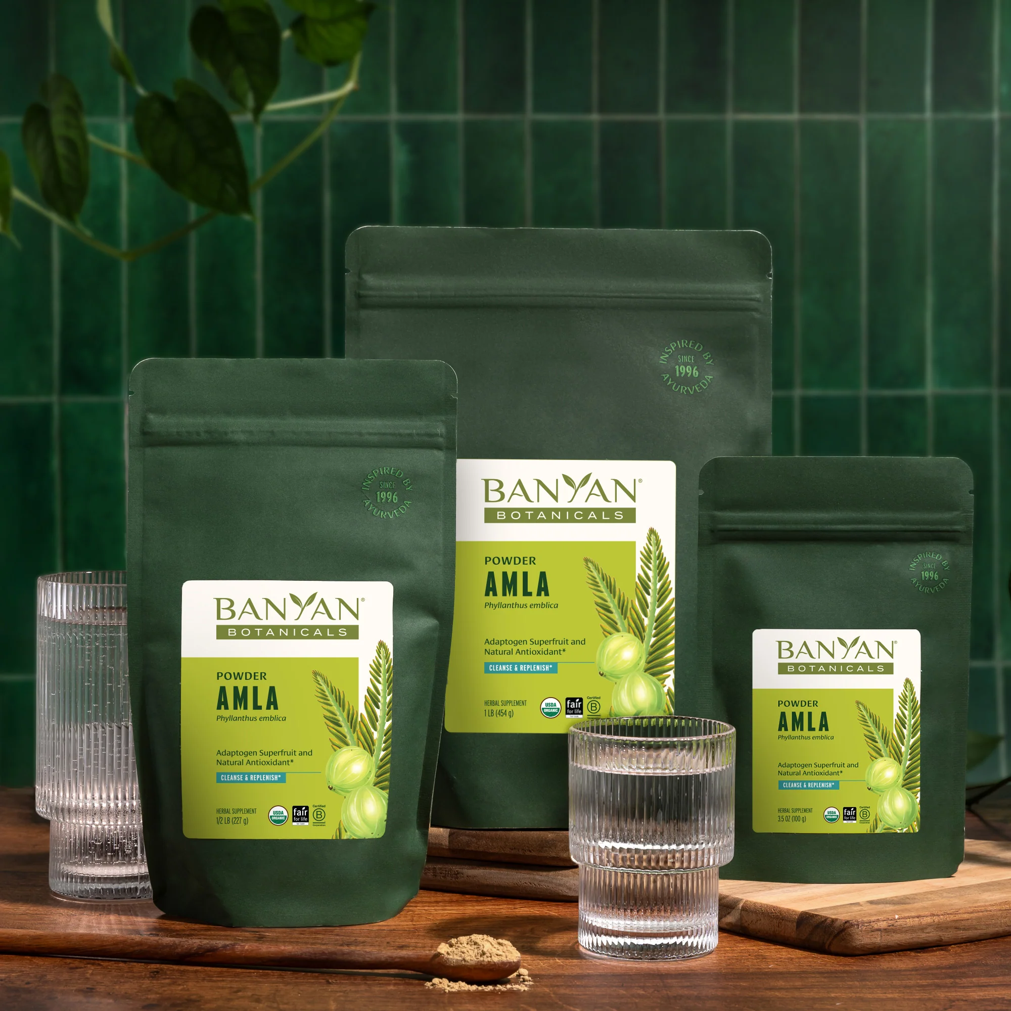 Amla (Amalaki) powder - Image 5