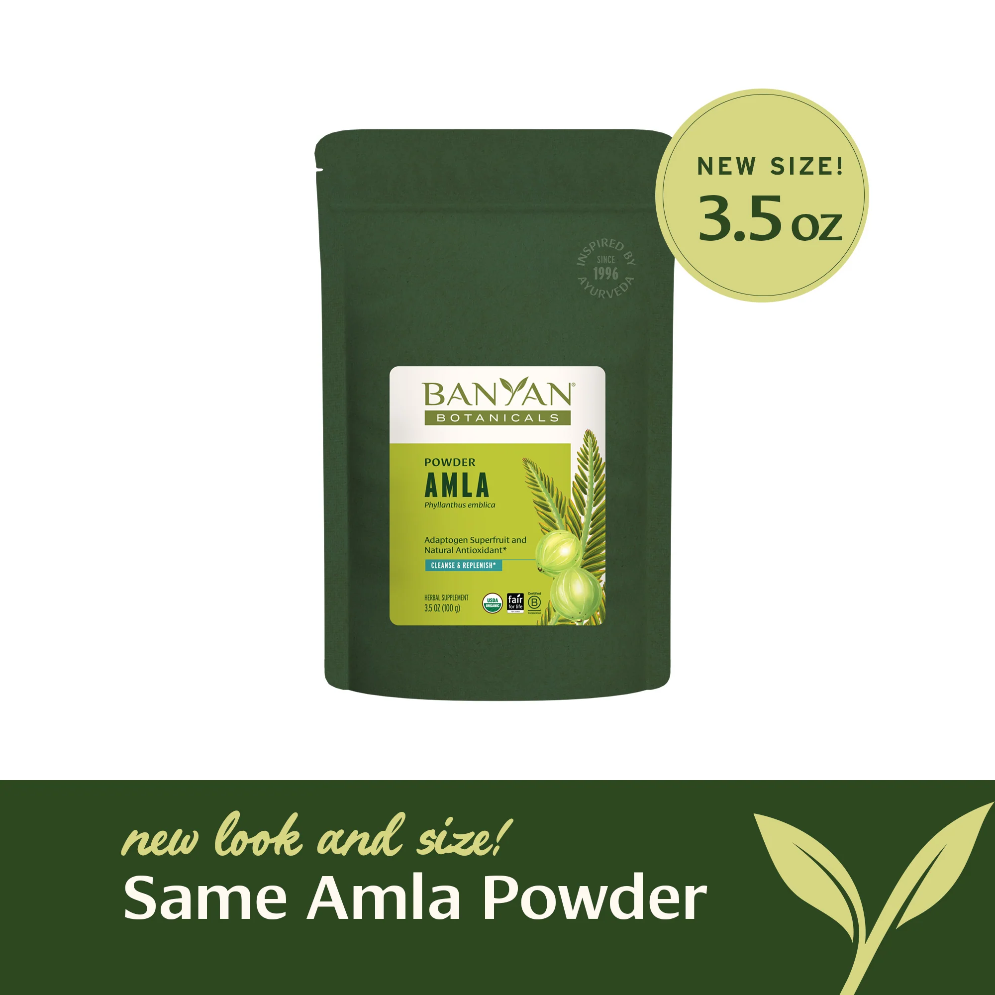 Amla (Amalaki) powder - Image 7