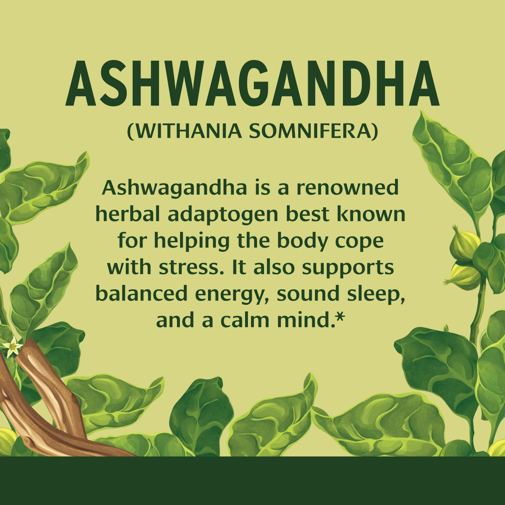 Ashwagandha tablets - Image 4