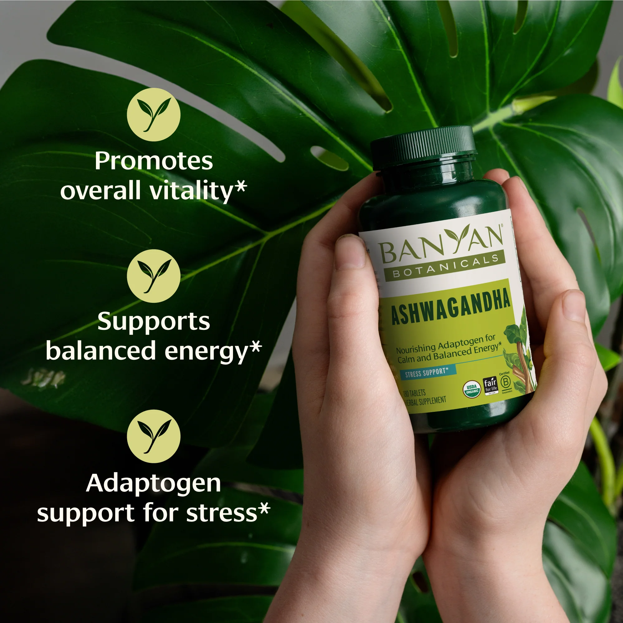 Ashwagandha tablets - Image 6