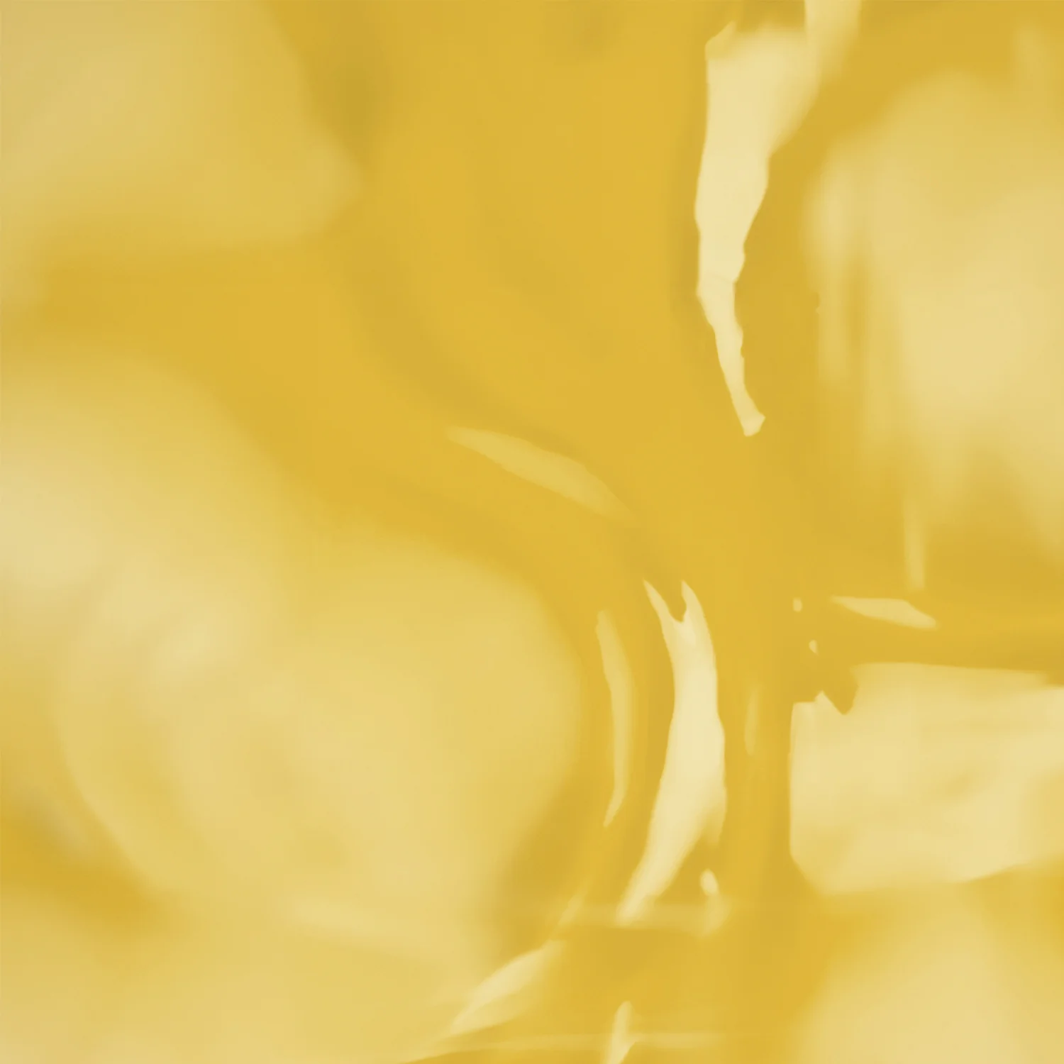 Bhringaraj Oil+ - Image 6