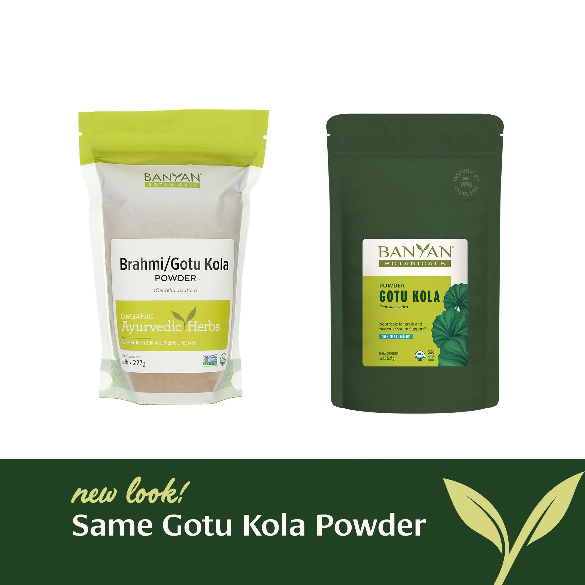 Gotu Kola (Brahmi) powder - Image 12
