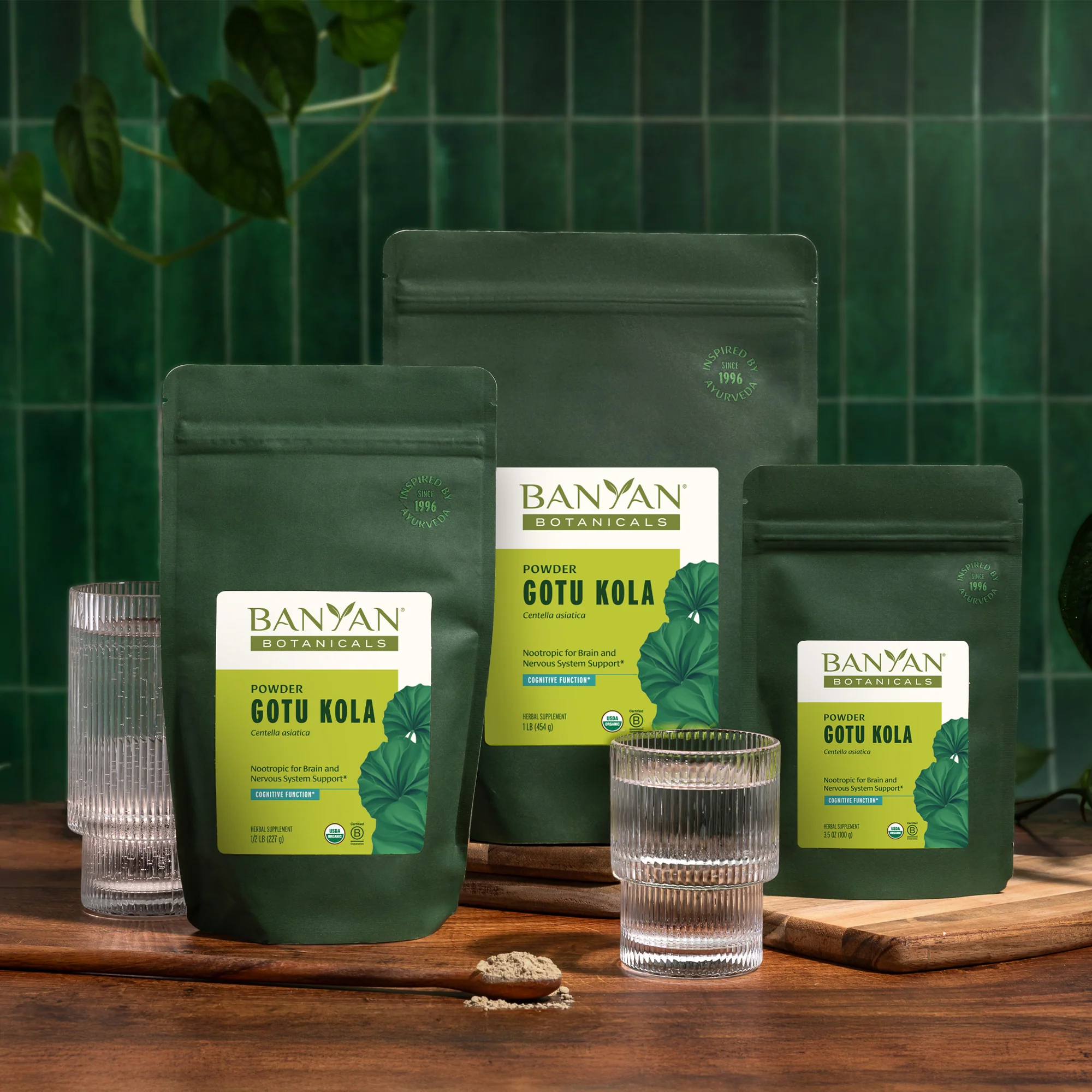 Gotu Kola (Brahmi) powder - Image 5