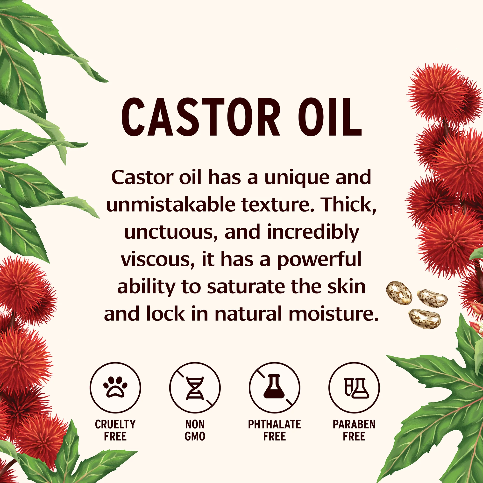 Castor Oil - Image 6