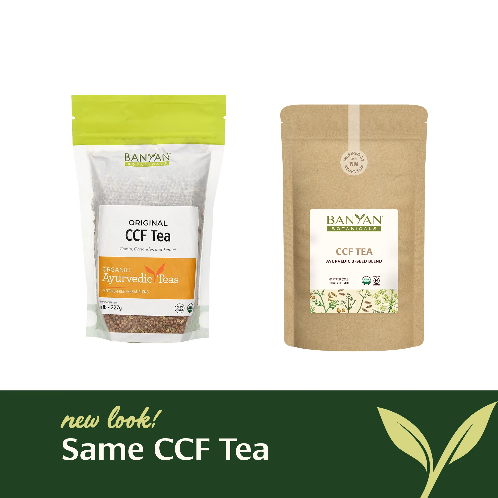 CCF Tea (Cumin, Coriander, Fennel) - Image 8