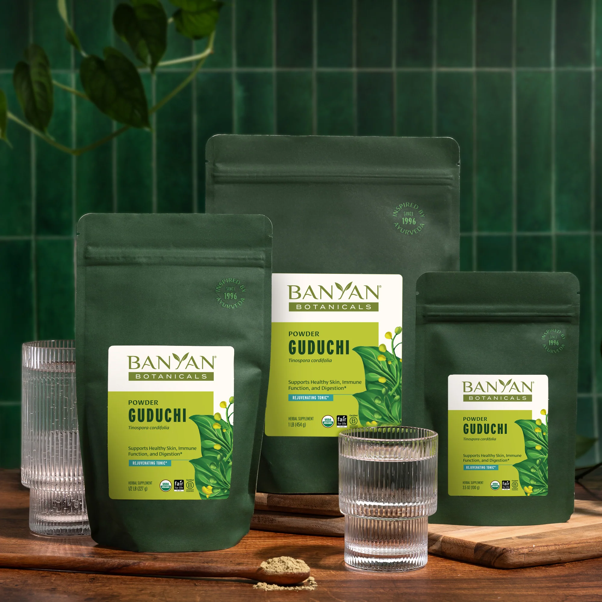 Guduchi powder - Image 4