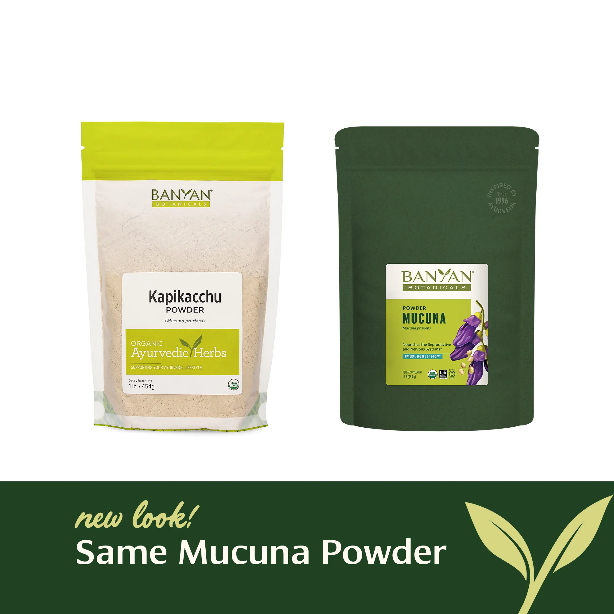 Mucuna (Kapikacchu) powder - Image 9