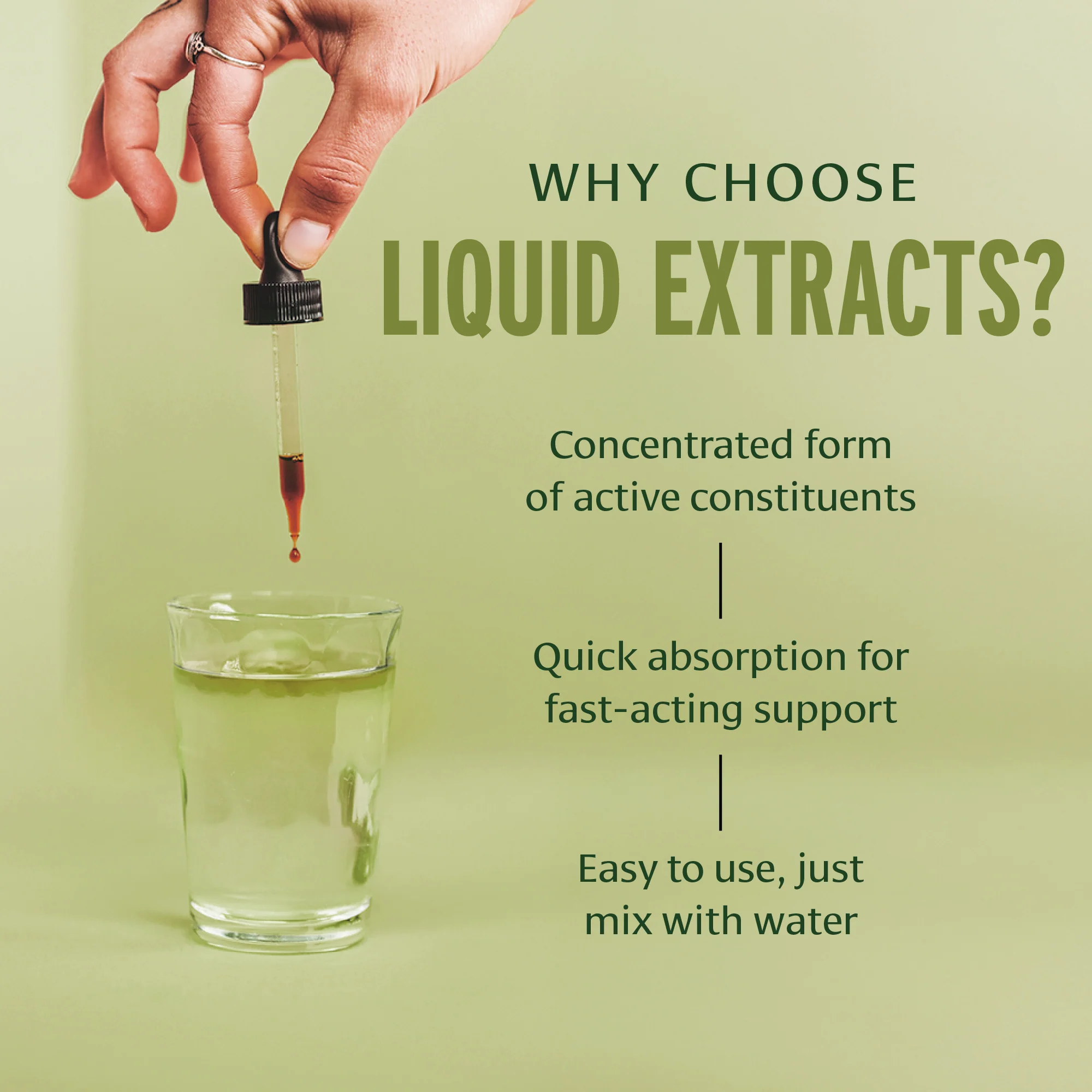 Easy Digest liquid extract - Image 5