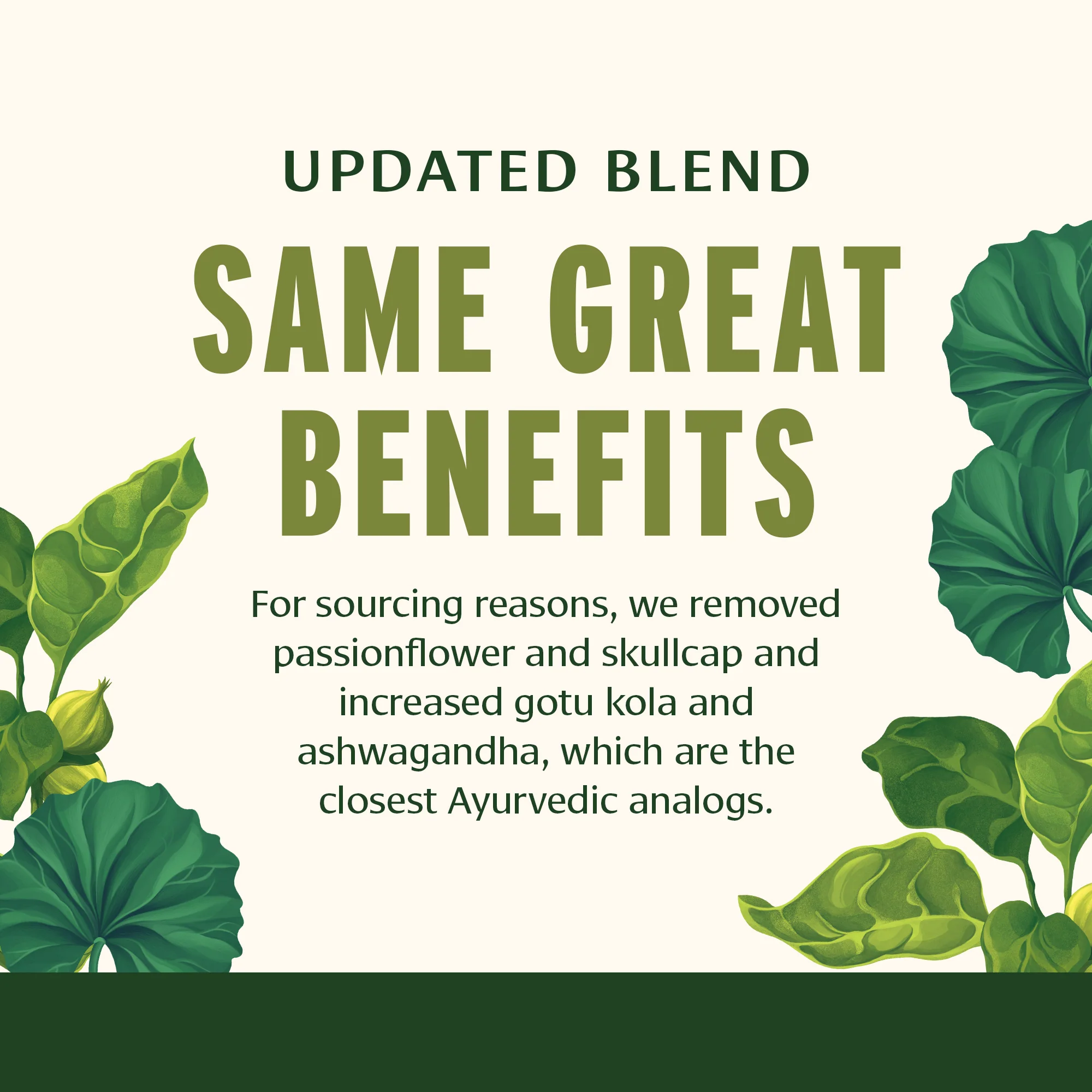 Mental Clarity™ tablets - Image 3