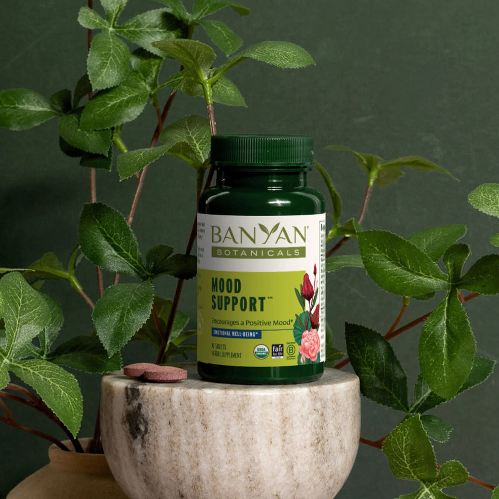 Mood Support™ Tablets - Image 3