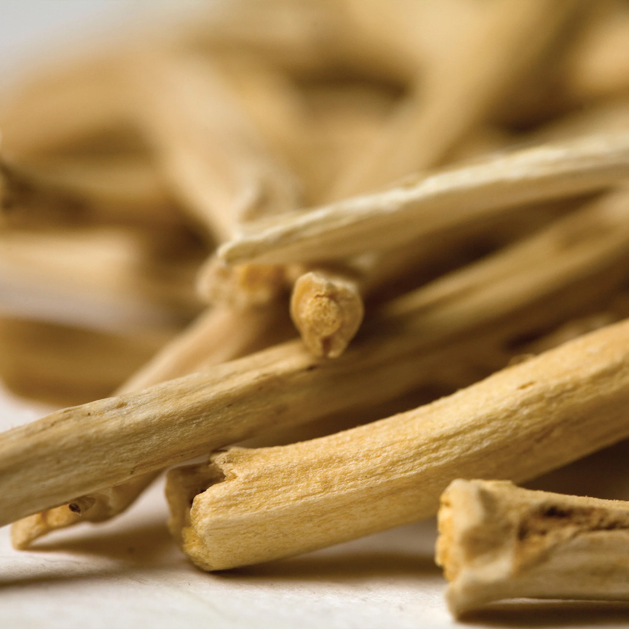 Organic Ashwagandha Seeds - Image 6