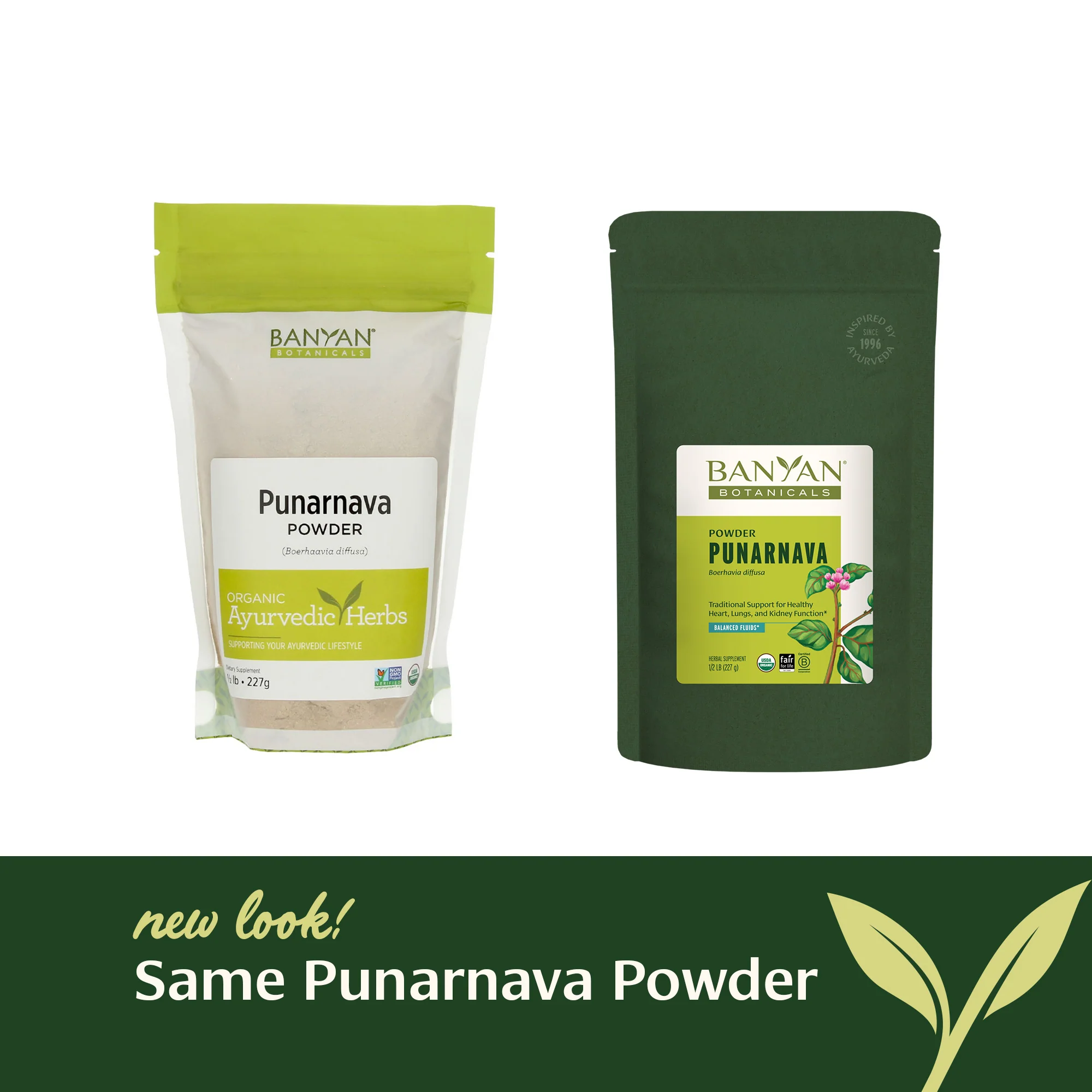 Punarnava powder - Image 11