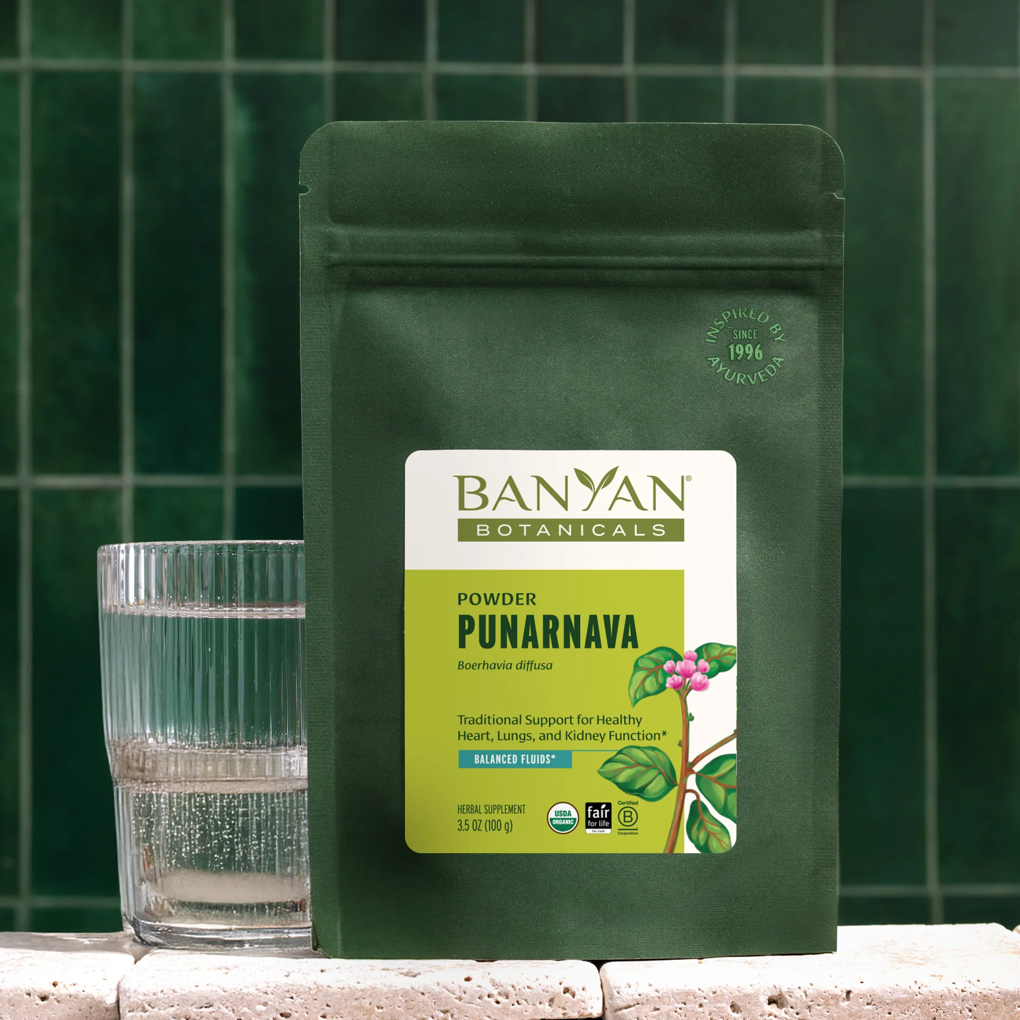 Punarnava powder - Image 4