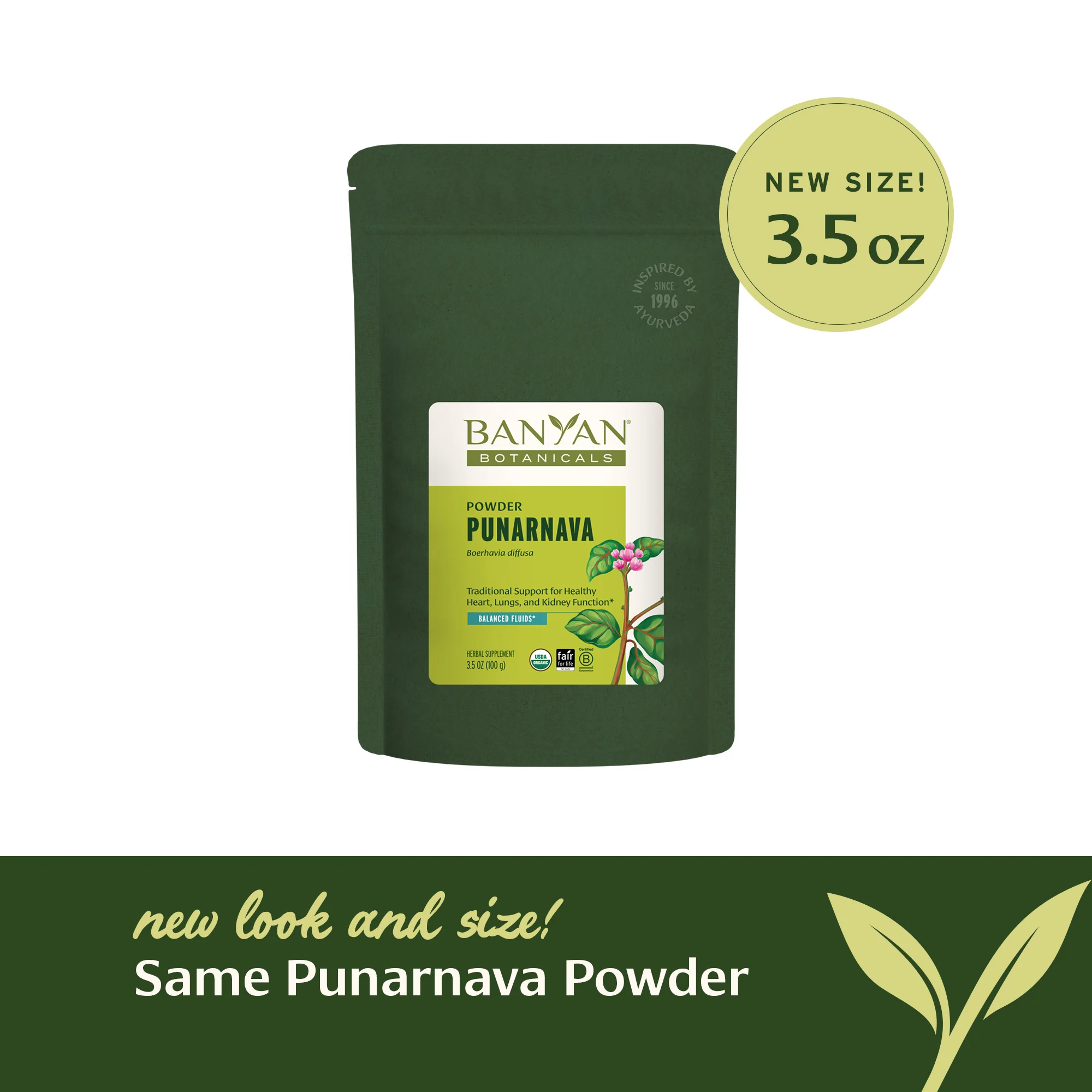 Punarnava powder - Image 6