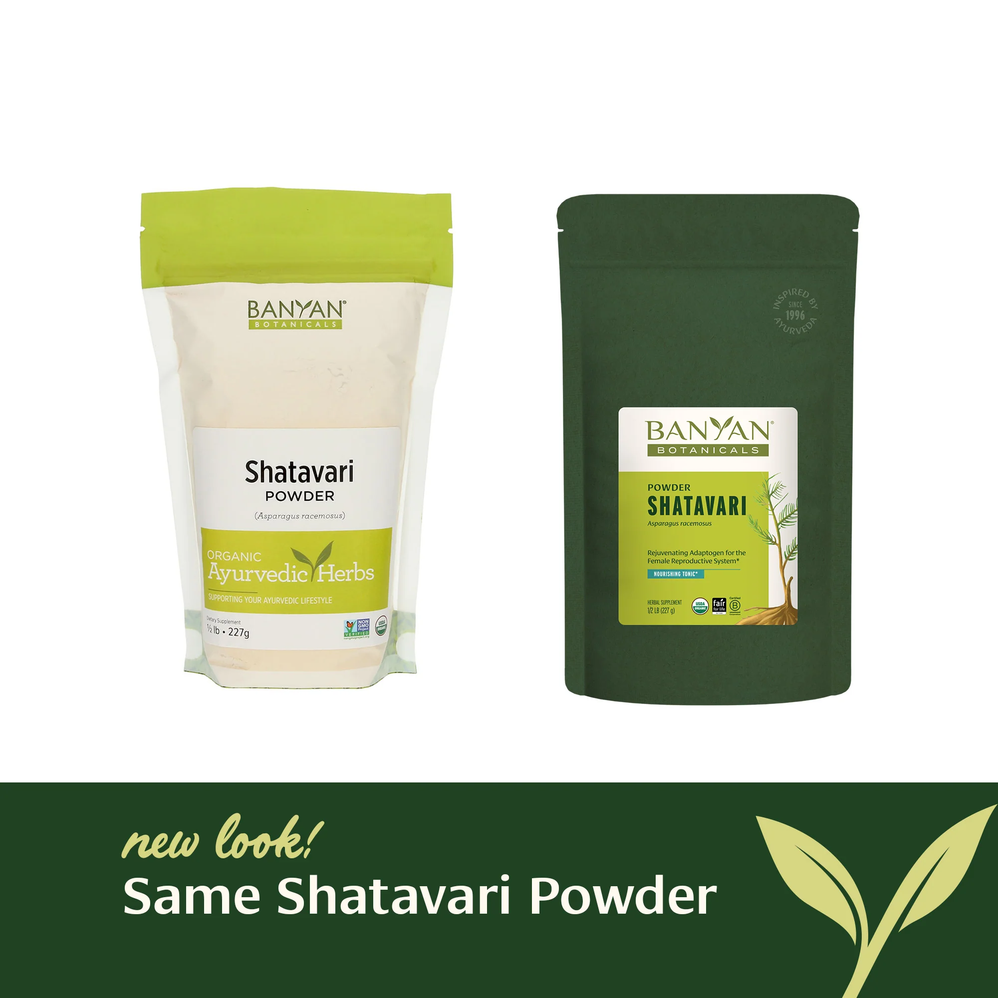 Shatavari powder - Image 3