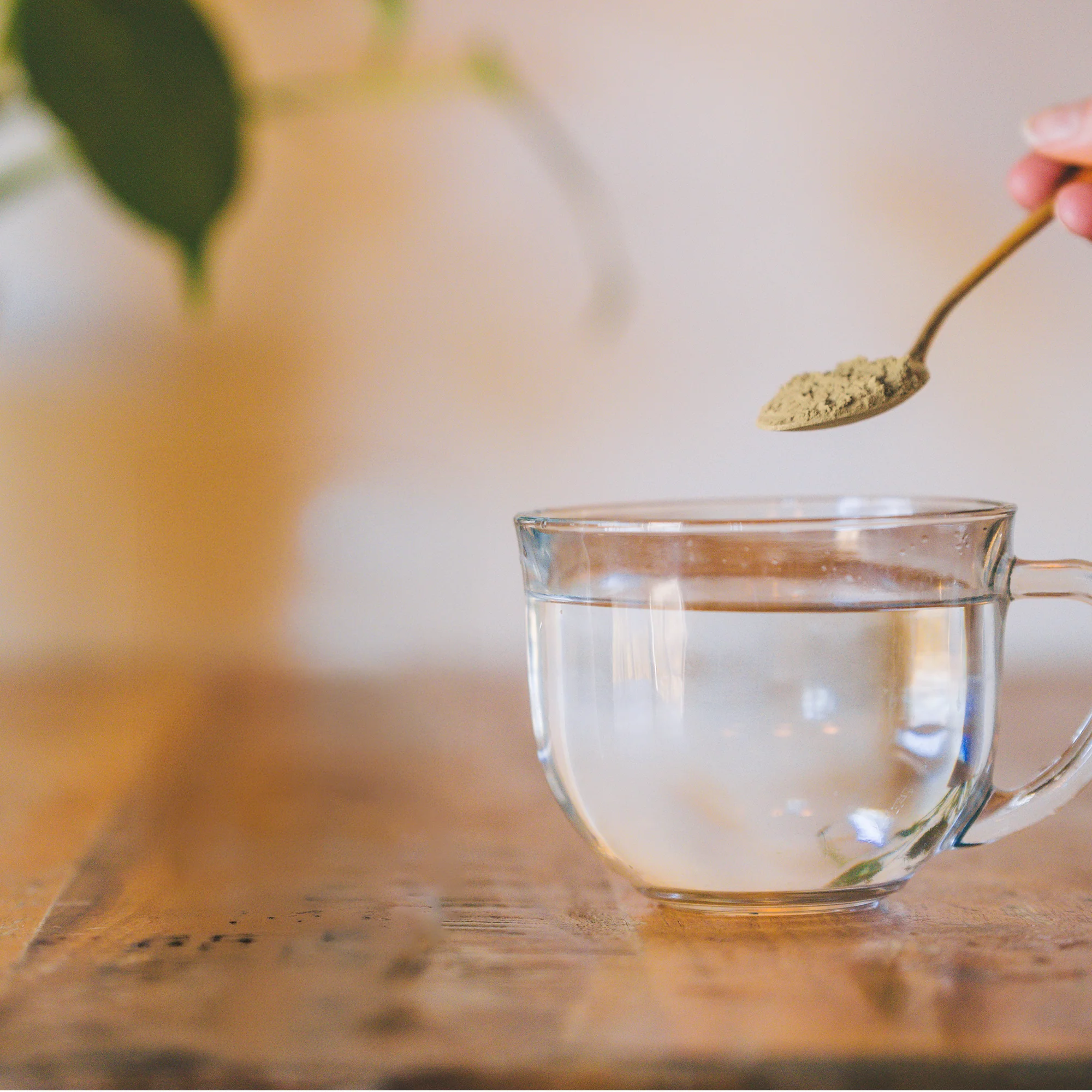 Triphala Powder - Image 9