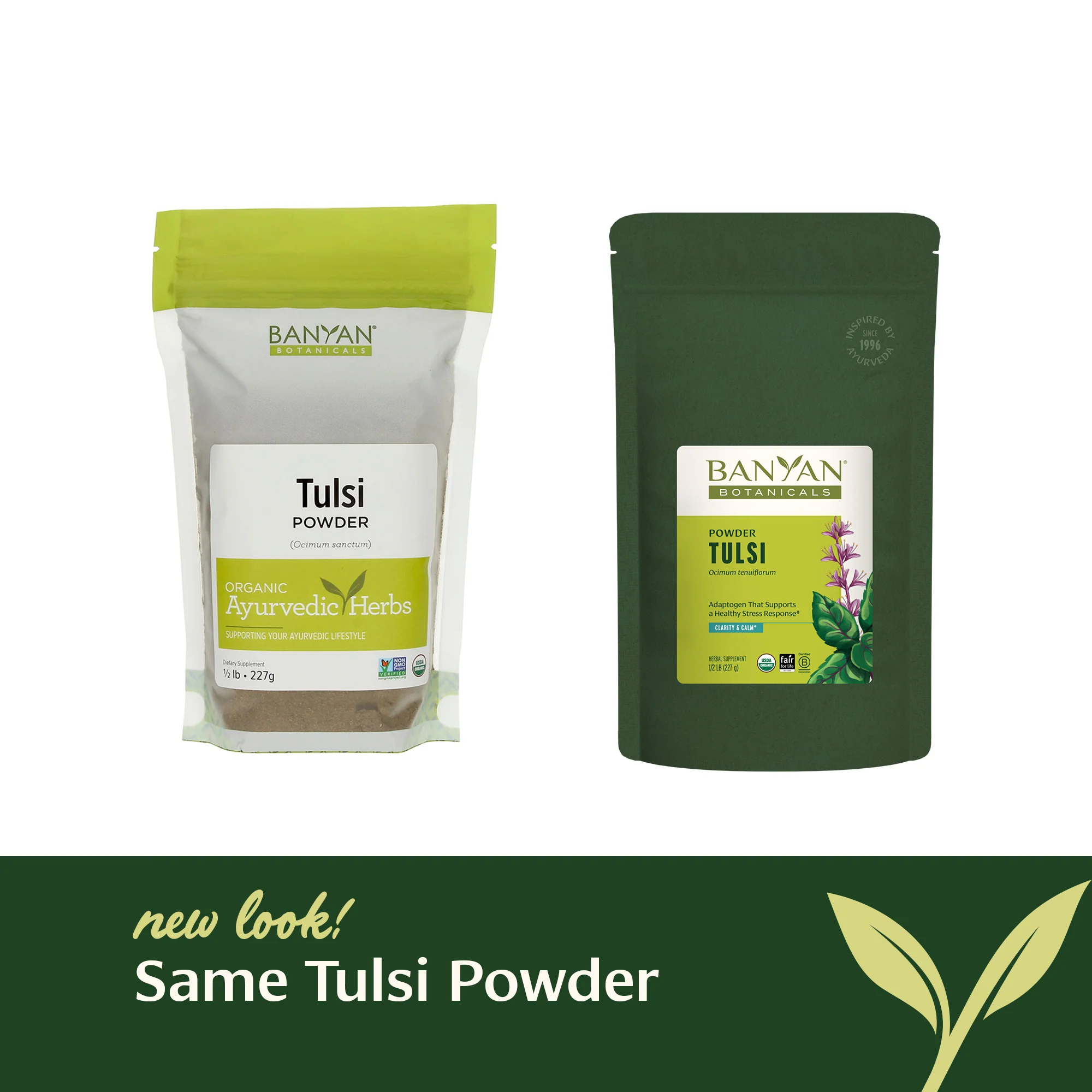 Tulsi powder - Image 7
