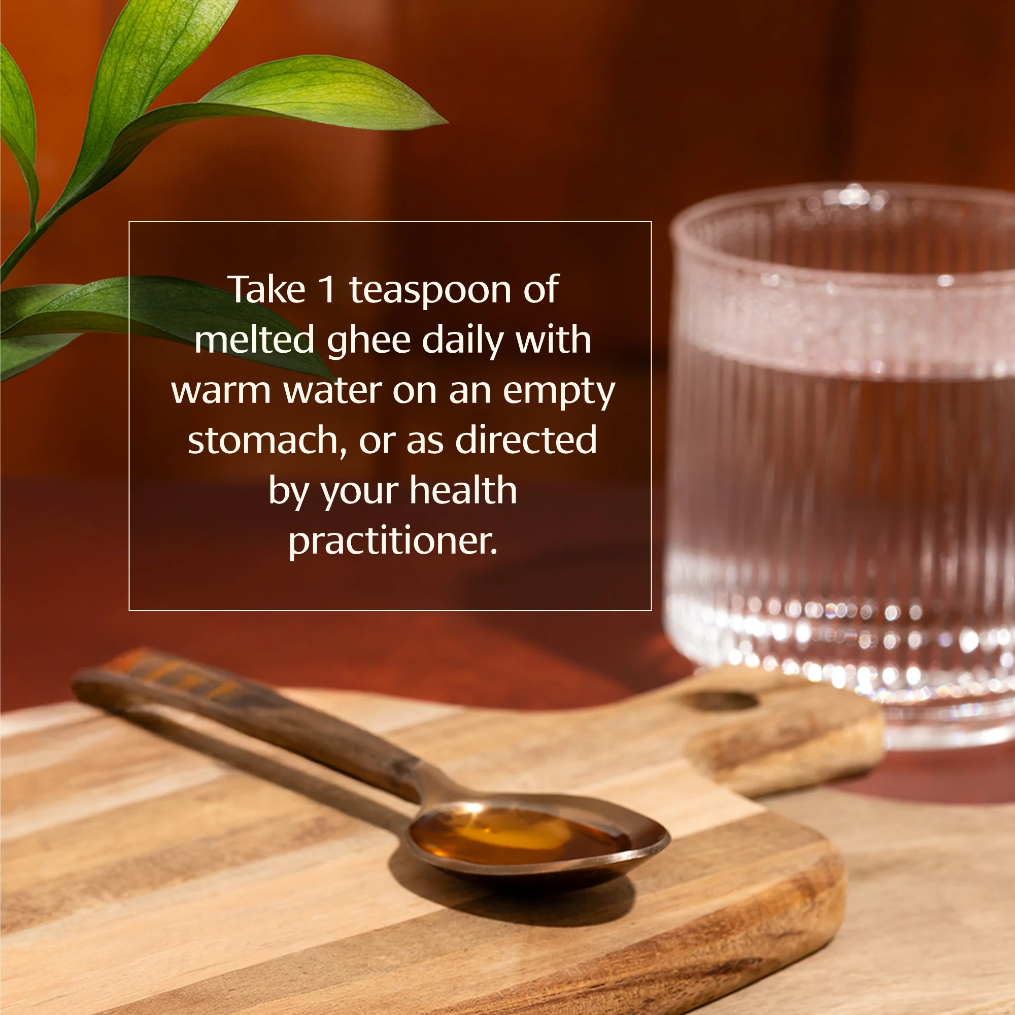 Brain Boost Ghee - Image 5