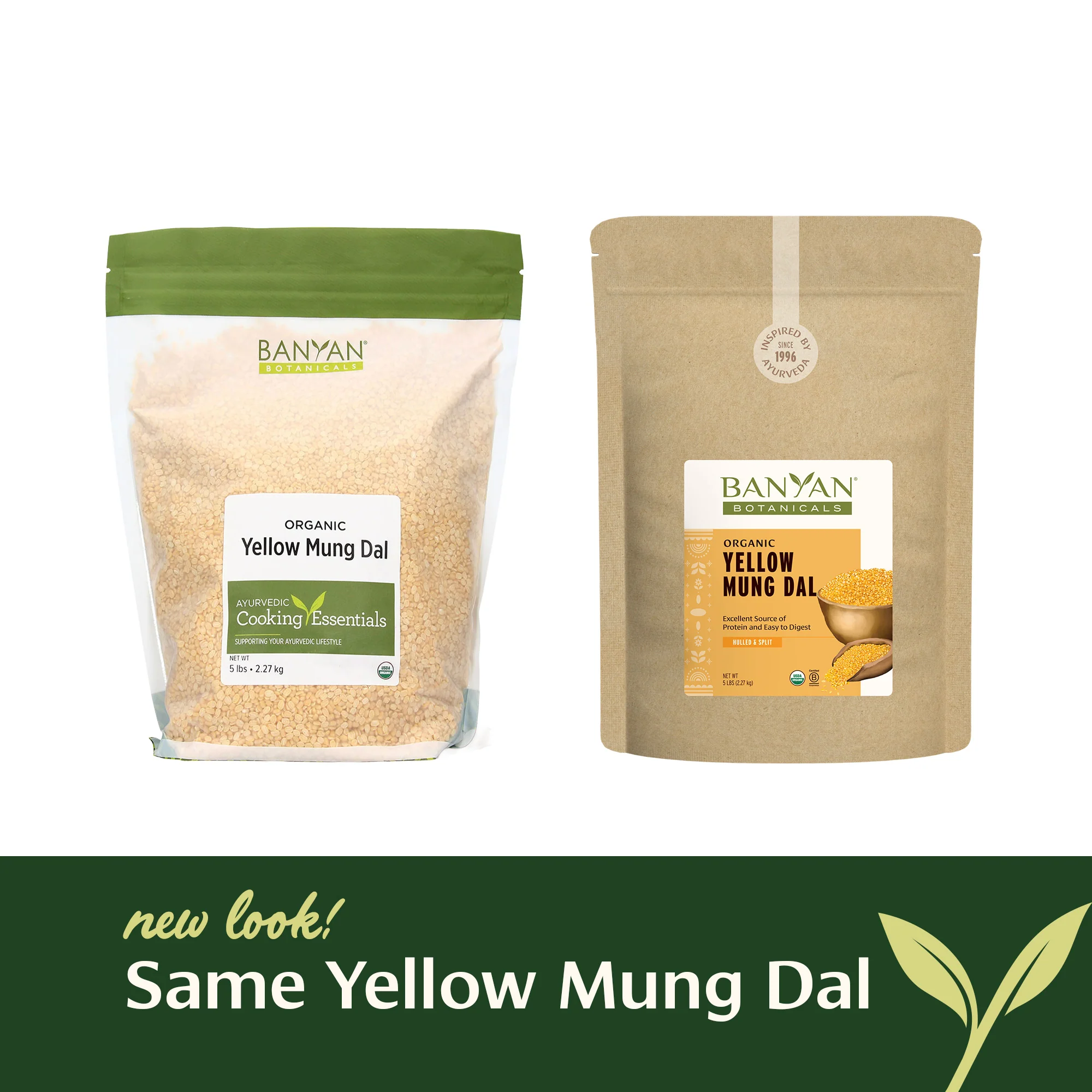 Yellow Mung Dal - Image 8